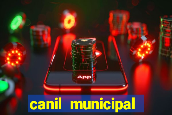 canil municipal porto alegre